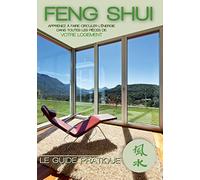 Feng Shui [DVD]