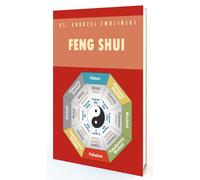 Feng Shui. Santé bon marché en Chine - Andrew Zwolinski (Literatur, Religion auf Polnisch)