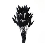 FENGCHUANG 50 Pièces Herbe de Queue de Lapin Séchée, Herbe De La Pampa Fleurs Séchées, Ne Se Fanent Jamais Fleur Sechees pour Décoration de Maison, Mariage (Noir)