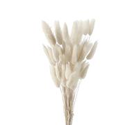 FENGCHUANG 50 Pièces Herbe de Queue de Lapin Séchée, Herbe De La Pampa Fleurs Séchées, Ne Se Fanent Jamais Fleur Sechees pour Décoration de Maison, Mariage(Blanc)