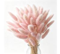 FENGCHUANG 60 Pièces Herbe de Queue de Lapin Séchée Herbe De La Pampa Fleurs Séchées Ne Se Fanent Jamais Fleur Sechees pour Décoration de Maison Mariage(Rose)