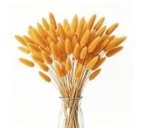FENGCHUANG 60 Pièces Herbe de Queue de Lapin Séchée Herbe De La Pampa Fleurs Séchées Ne Se Fanent Jamais Fleur Sechees pour Décoration de Maison Mariage(Orange)