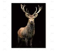 FENGJIAREN Impression Haute Définition Affiches Et Impressions Art Peinture De Toile De Décoration De Cerfs Animaux pour Le Salon Home Decor sans Cadre, 70Cm × 100Cm