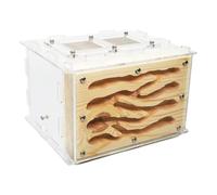 FENGJISUN Ant Farm Maison à fourmis créative en bois acrylique écologique avec zone d'alimentation pour adultes