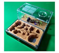 FENGJISUN Fourmilière Nid Fourmis Fourmilière pour Ferme De Fourmis, Étude du Comportement des Fourmis, Nid De Fourmis, Terrarium Éducatif, Formicarium Fourmis Elevage