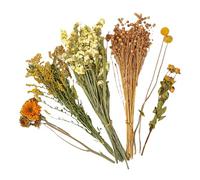 fengminmaoyi Literie de fleurs séchées pour petits animaux, décoration naturelle de cage à hamster, foin doux pour gerbilles, litière pour lapins, hérissons, cadeau d'anniversaire, décoration de fête