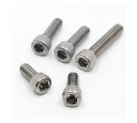 fengpeng 2-50pcs DIN912 304 A2-70 acier inoxydable hexagone douille hexagonale capuchon Allen tête boulon vis M1.4 .6 M2 .5 M3(8mm,M3 10pcs)