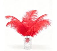 Fenisonavy Plumes d'Autruche Naturelles 10 Pcs 35-40cm Plumes de Haute Qualité Triées Manuellement pour Bricolage Décoration d'Intérieur Soirées et Spectacles (Rouge)