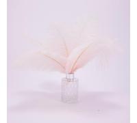 Fenisonavy Plumes d'Autruche Naturelles 10 Pcs 35-40cm Plumes de Haute Qualité Triées Manuellement pour Bricolage Décoration d'Intérieur Soirées et Spectacles (Rose Pâle)