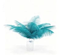 Fenisonavy Plumes d'Autruche Naturelles 10 Pcs 35-40cm Plumes de Haute Qualité Triées Manuellement pour Bricolage Décoration d'Intérieur Soirées et Spectacles (Bleu Paon)