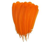 Fenisonavy PlumLoisirs Créatifs 24 Piéces 25-30cm Plumes Colorées Naturelles pour Bricolage Décoration Mariage Carnaval et Fétes ES de Dinde pour (Orange)
