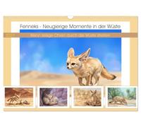 Fenneks - Neugierige Momente in der Wüste (Wandkalender 2027 DIN A3 quer), CALVENDO Monatskalender: Wenn riesige Ohren durch die Wüste streifen