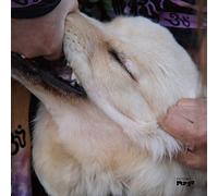Fennesz Christian & O'Rourke Jim - It's Hard for Me to Say I'm Sorry