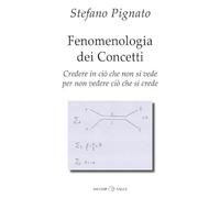 Fenomenologia dei concetti. Credere in ciò che non si vede per non vedere ciò che si crede