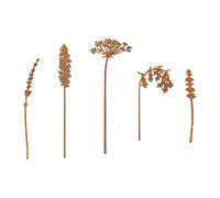 Fenteer 5 Pièces Piquets de Jardin Fleurs en Métal Ornements pour Pot Jalons Décoratifs Tuteurs de Parterre pour Un Point Focal Unique Approprié pour Jardini, Style C