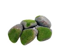 Fenteer 5 Pièces Rochers Artificiels Faux Rochers Fausses Pierres Décors de Jardin et Modèles de Roches En Mousse Légère Convenable pour Dioramas, F