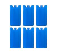 Fenteer 6 Pièces Pains de Glace Packs Congélateur Accumulateurs Froid Éléments Congélation en PEHD et Efficace Adapté pour Sorties en Plein Air et Dé, 9 Cm X 3.8 Cm X 16.5