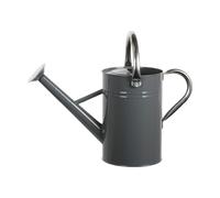 Fenteer Arrosoir de Jardin Pot D'Arrosage Bidon d'eau Outil de Jardinage en Fer Robuste avec Pommeau Amovible Adapté pour Les Plantes D'Intérieur et D'Extéri, Gris