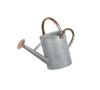 Fenteer Arrosoir de Jardin Pot D'Arrosage Seau à Eau Bidon en Fer Robuste avec Pommeau Amovible pour Un Arrosage Doux Convient pour Les Plantes D'Intérieur E, 4 L