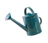 Fenteer Arrosoir Métal 4L Jardin Pot à Eau Bec Long avec Poignée Ergonomique Fer Résistant à La Rouille Grande Capacité Adapté Plantes D'Intérieur Arrosage Ex, Bleu