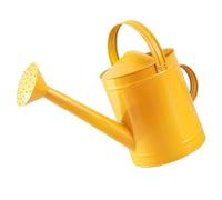 Fenteer Arrosoir Métal 4L Jardin Pot à Eau Bec Long avec Poignée Ergonomique Fer Résistant à La Rouille Grande Capacité Adapté Plantes D'Intérieur Arrosage Ex, Doré