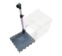 Fenteer Boîte de Filtration en Acrylique pour Aquarium à crevettes et Poissons, boîte d'élevage Robuste, multifonctionnelle, légère et Transparente