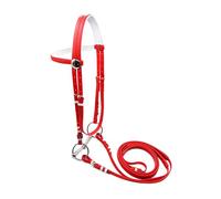 Fenteer Bride Cheval Têtière Ajustable avec Licol en PVC Embouchure Inoxydable Creuse Rênes Confortables Détachables Accessoire Équestre Moderne Adapté à L'En, L Red