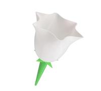 Fenteer Dispositif D'Arrosage Automatique Piquet D'Irrigation Goutte à Goutte Outil de Jardinage en PLA Écologique Adapté pour Plantes en Pot Maison et Bureau, C