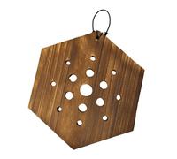 Fenteer Fern Mounting Board Wall Planter en Bois Décoratif avec Cadre Géométrique pour Plantes Grimpantes Orchidées Montage Vertical et Suspension Adapté Pou, Hexagonal