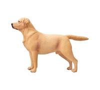 Fenteer Figurine Chien Labrador Accessoire Modèle Miniature Jouet Éducatif Statue Animale Peinte Ornement PVC Adapté à L'Apprentissage Jeu Décoration Bureau C, Sans Laisse