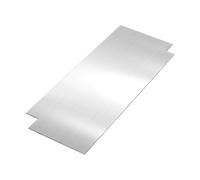 Fenteer Plâtrage Guide D'Alignement Outil de Nivellement En Acier Inoxydable Robuste Portable Fonction Convient pour Travaux de Plâtrage et Alignement, Aucun Ajustement, Petit