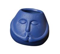 Fenteer Potte Créative pour Fleurs, Pot en Céramique pour Intérieur et Extérieur, Bleu