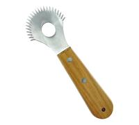 Fenteer Râpe à Noix co - Outil de Cuisine Portable et Multifonctionnel Facile à Utiliser pour Retirer La Chair de co - Grattoir à Noix