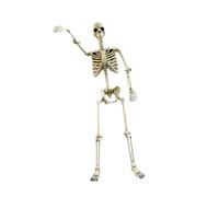 Fenteer Squelette Halloween Statue Décoration Squelette Crâne Humain Sculpture Articulée en PP Adaptée pour Maison Fêtes Collection Espace Ludique, 90cm
