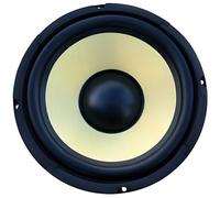 Fenton WK20 - Haut-parleur, cône 8 pouces (20 cm), 500 Watts, 250 Watts RMS, HP boomer séparé, Basses fréquences, 8 Ohms