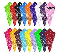FEPITO 18 pièces Paisley Bandanas assortis Cowboy Bandanas unisexe nouveauté impression tête Wrap écharpe bracelet pour femmes et hommes