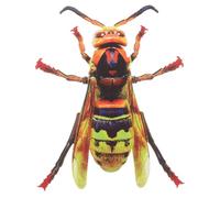 Fer Décorations Murales Ornement Suspendu, Insectes Extérieur | Texture Colorée, Effet 3d Vivant, pour Patio Pergola et Murs en Bois, Style Chic Résistant