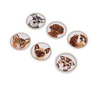 Fer sur patchs d'animaux Design mignon pour le coton de bricolage Patches légères 6PCS