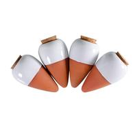 Feriany Lot de 4 boules d'irrigation pour plantes en terre cuite - Arrosoir à libération lente - 16 onces - Brochette auto-arrosage