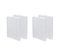 Ferleiss Accessoires pour HRF-R3 HRF- HRF-R1 Filtre pour HPA300 /200/090