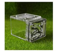 Ferme à fourmis naturelle, ferme à fourmis, maison à fourmis, nid à fourmis carré, château à fourmis en acrylique, habitat transparent fait à la main for fourmis, écosystème éducatif unique for coloni