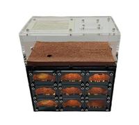 Ferme de Fourmis Nid de Fourmis Château de Fourmis Château De Fourmis Classique, Nid De Fourmis En Béton, Trou Noir, Ferme De Fourmis, Ferme Avec Câble De Chargement Usb Maison Fourmilière Maison Four