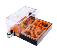 Ferme de Fourmis Nid de Fourmis Château de Fourmis Ferme De Fourmis, Maison De Fourmis, Étude Du Comportement Des Fourmis, Nid De Fourmis, Terrarium, Formicarium Éducatif Pour Fourmis Maison Fourmiliè