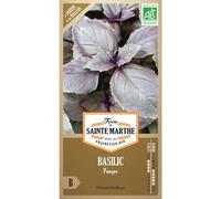 FERME DE SAINTE MARTHE-Graines de basilic pourpre bio Ferme de Sainte Marthe - graines à semer