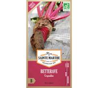FERME DE SAINTE MARTHE-Graines de betterave potagère crapaudine bio Ferme de Sainte Marthe - graines à semer