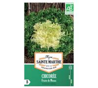FERME DE SAINTE MARTHE-Graines de Chicorée frisée de Meaux bio Ferme de Sainte Marthe - graines à semer