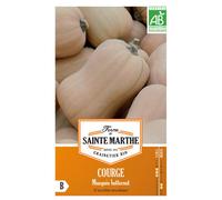 FERME DE SAINTE MARTHE-Graines de courge musquée butternut bio Ferme de Sainte Marthe - graines à semer