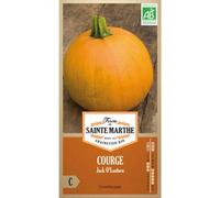 FERME DE SAINTE MARTHE-Graines de courgette jack O lanterne bio Ferme de Sainte Marthe - graines à semer