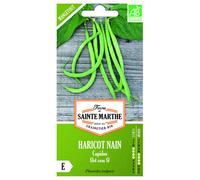 FERME DE SAINTE MARTHE-Graines de haricot nain cupidon bio Ferme de Sainte Marthe - graines à semer