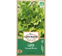 FERME DE SAINTE MARTHE-Graines de laitue cressonnette marocaine bio Ferme de Sainte Marthe - graines à semer